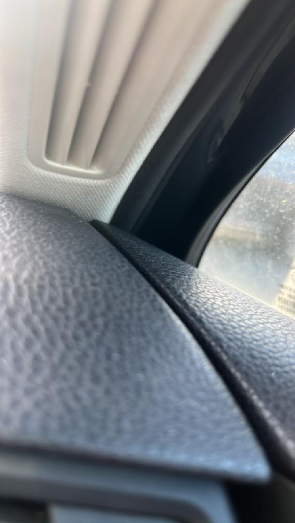 Close-up of the same dark carpet edge after cleaning with improved clarity and a more even, refreshed carpet texture.